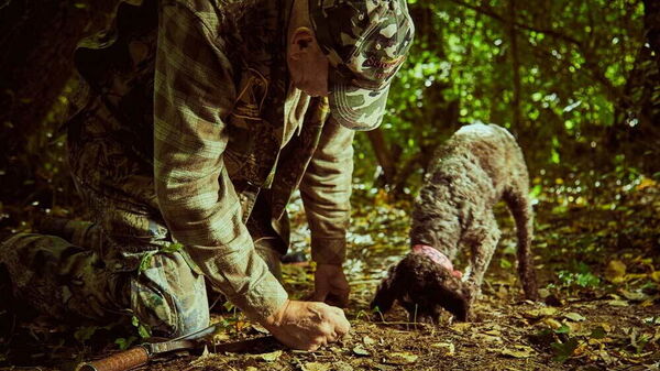 passeggiata_a_cavallo