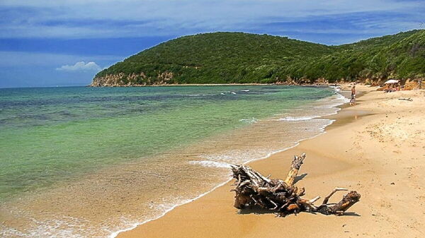 spiagge-maremma-toscana