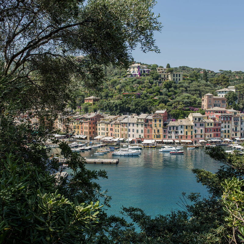 Villa Peninsula -by Belcantovillas: Fantastic villa for rent in Portofino.