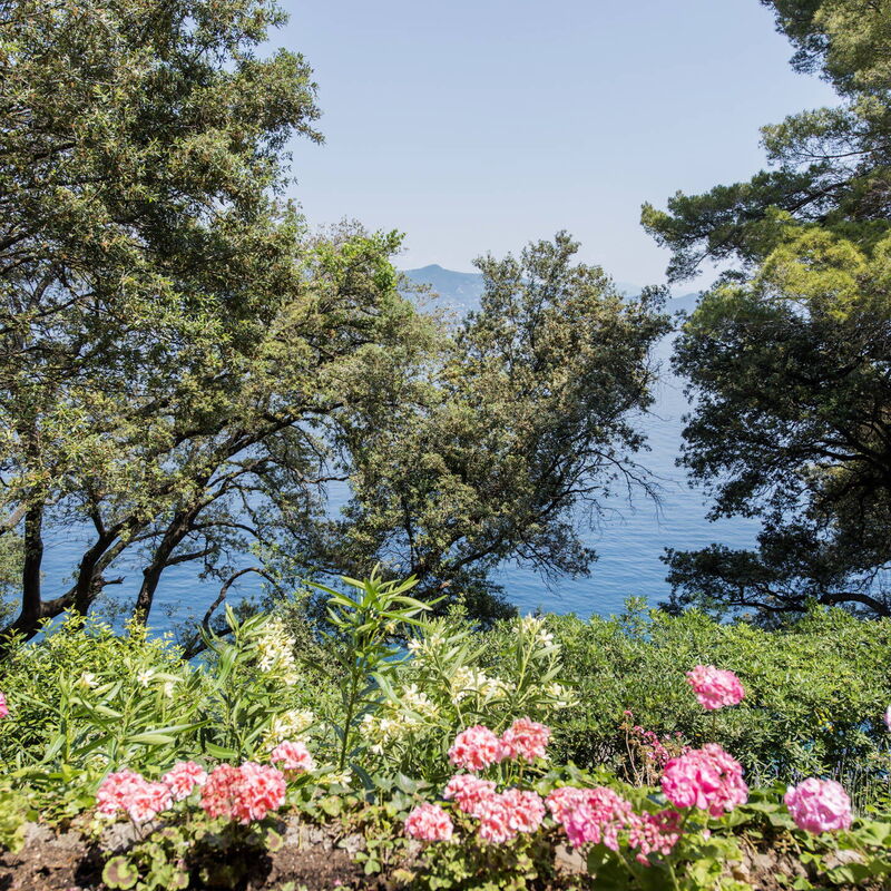 Villa Peninsula -by Belcantovillas: Relaxing holiday villa in beautiful Portofino.