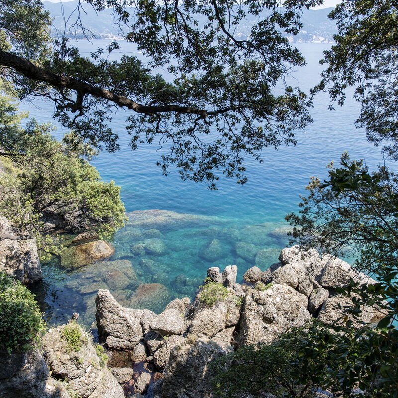 Villa Peninsula -by Belcantovillas: Wonderful holiday villa in Portofino with panoramic view.