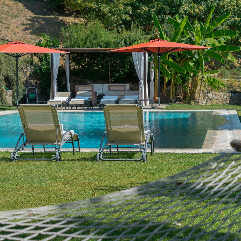 Luxury Pool Villa Oliveto 18 - Belcantovillas: Garden, Outdoor, Pool, Scenic View