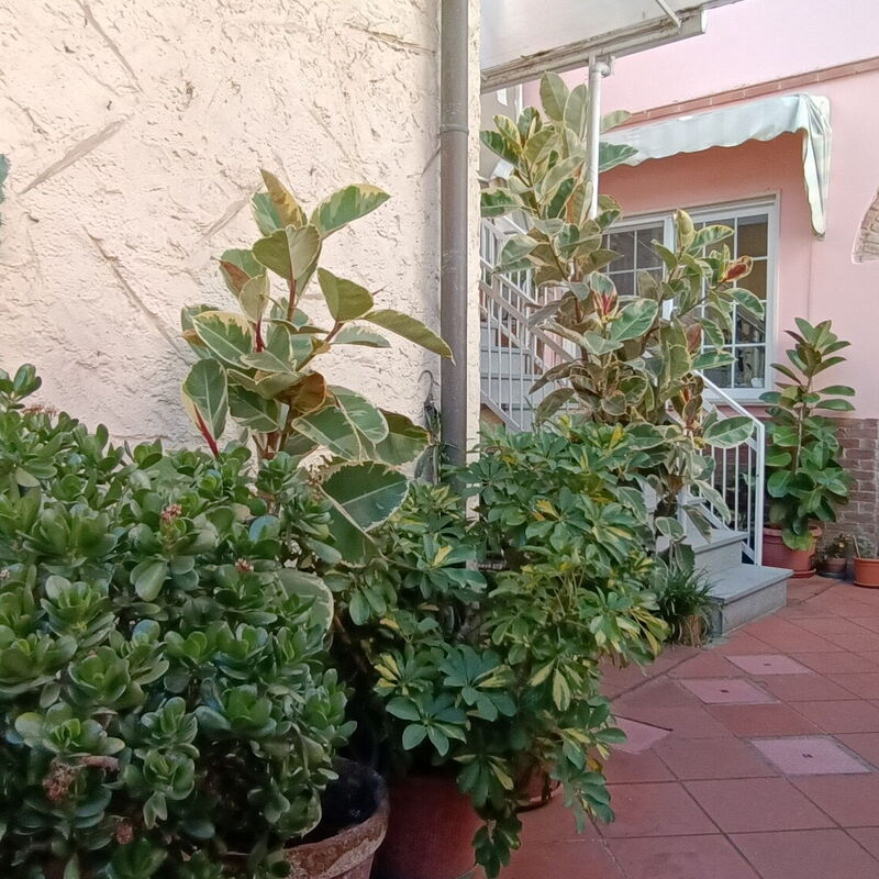 Comfy Flat - By Belcantovillas: Balcony / Terrace / Patio, Garden, Outdoor