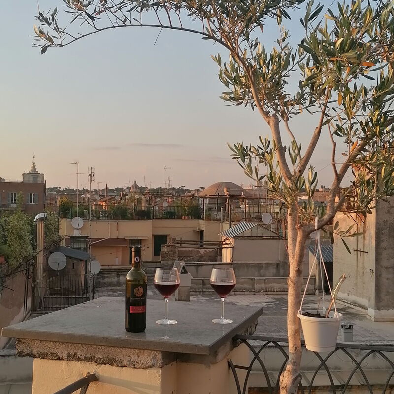 Terrace Apartment On The Monuments Of Rome - Belcantovillas: The best way to enjoy this splendid terrace: to drink a glass of wine with friends during the sunset