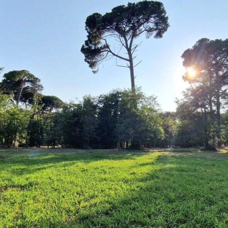 Pineta e Mare - By Belcantovillas