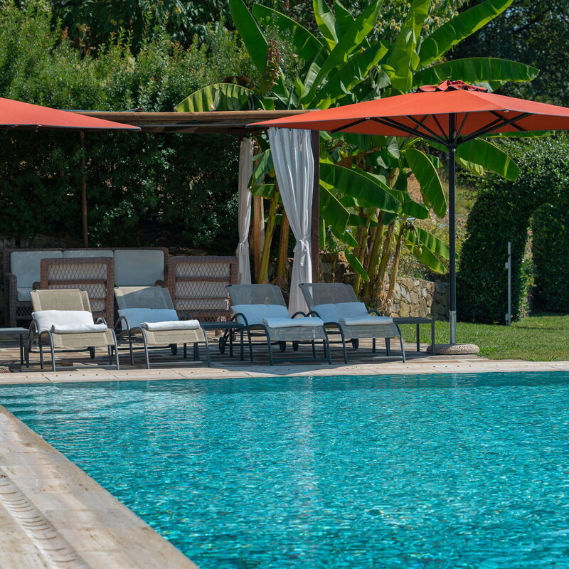 Luxury Pool Villa Oliveto 12 - Belcantovillas: Garden, Outdoor, Pool, Spring, Summer