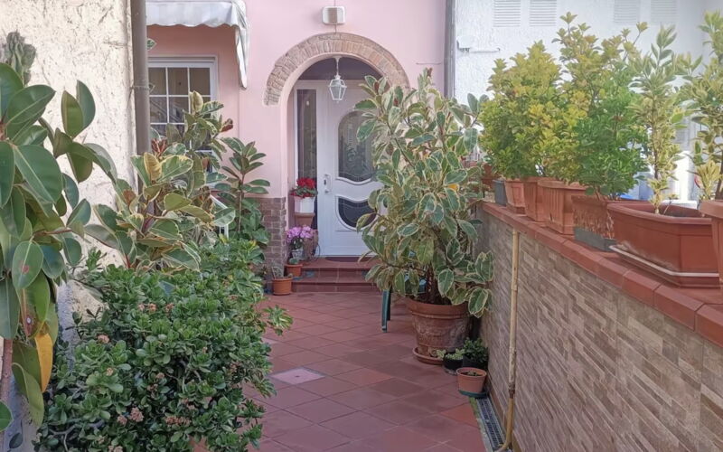 House With Bikes Included