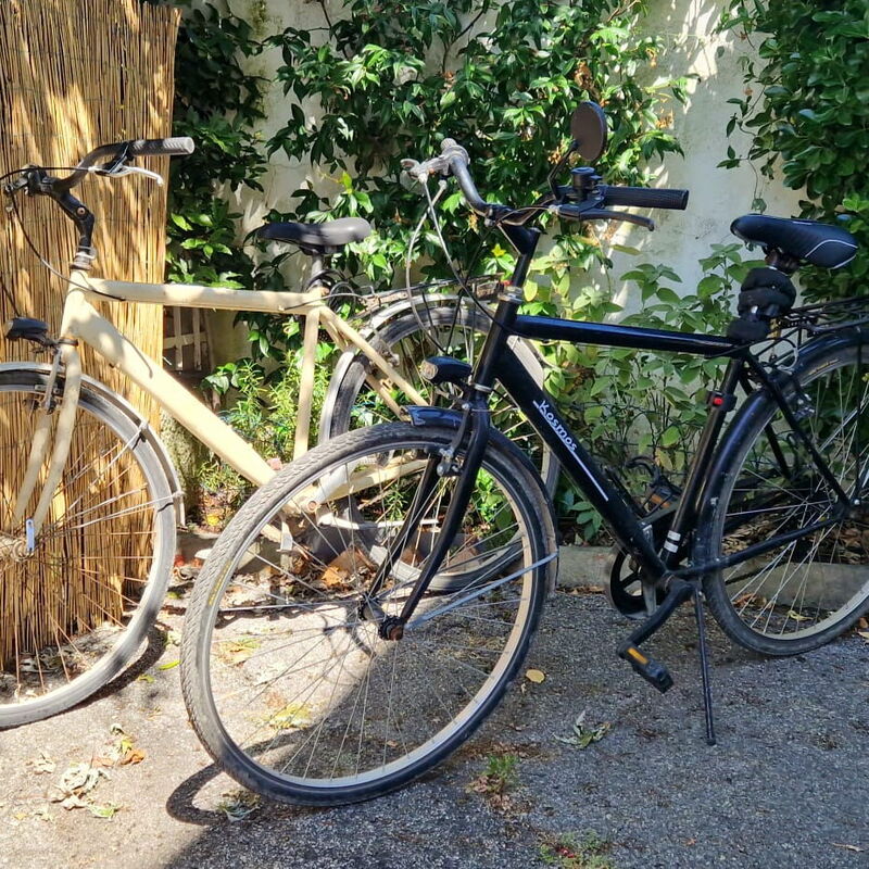House With Bikes Included